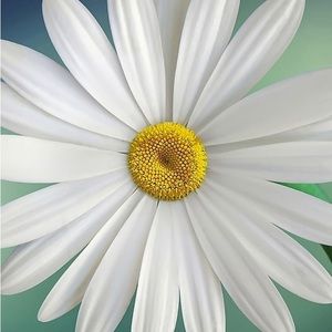 Meet your Posher, Annamarie